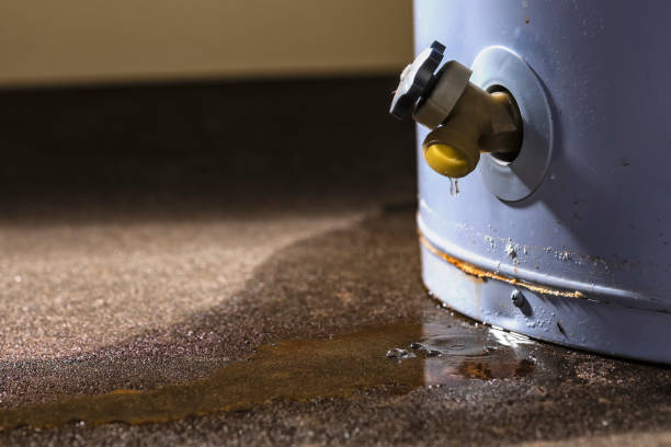 Best Flooded house restoration  in Fair Haven, NY