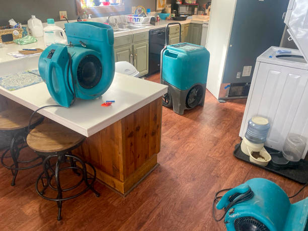 Best Water damage contractors near me  in Fair Haven, NY