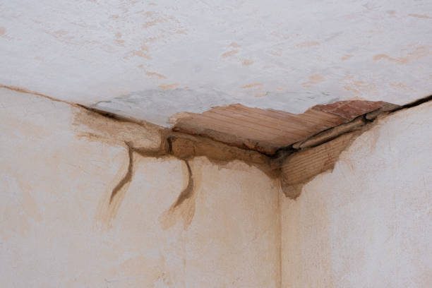Best Residential water damage restoration  in Fair Haven, NY