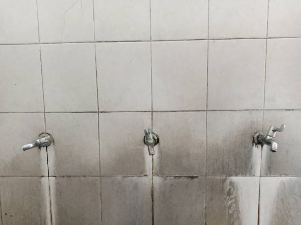 Best Local water damage restoration  in Fair Haven, NY