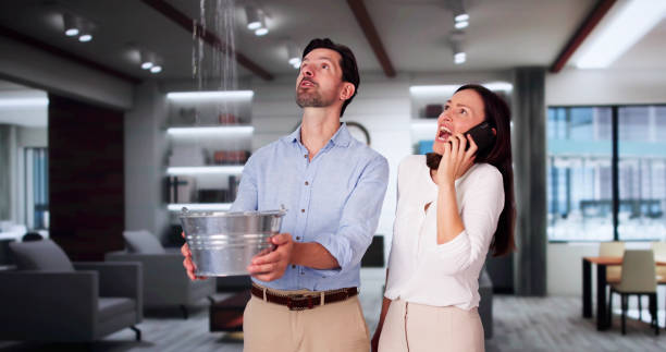 Best Water damage restoration near me  in Fair Haven, NY